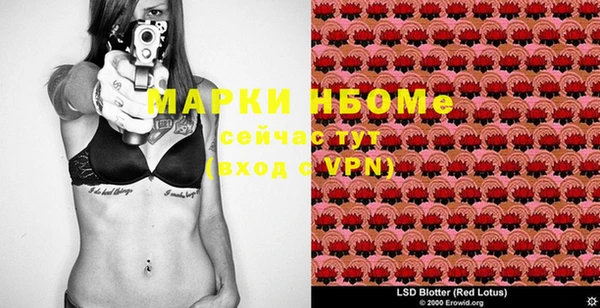 индика Армянск