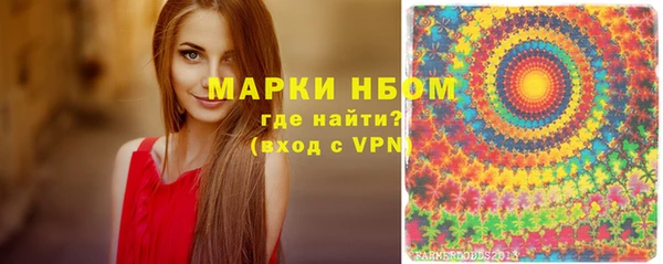 стаф Аркадак